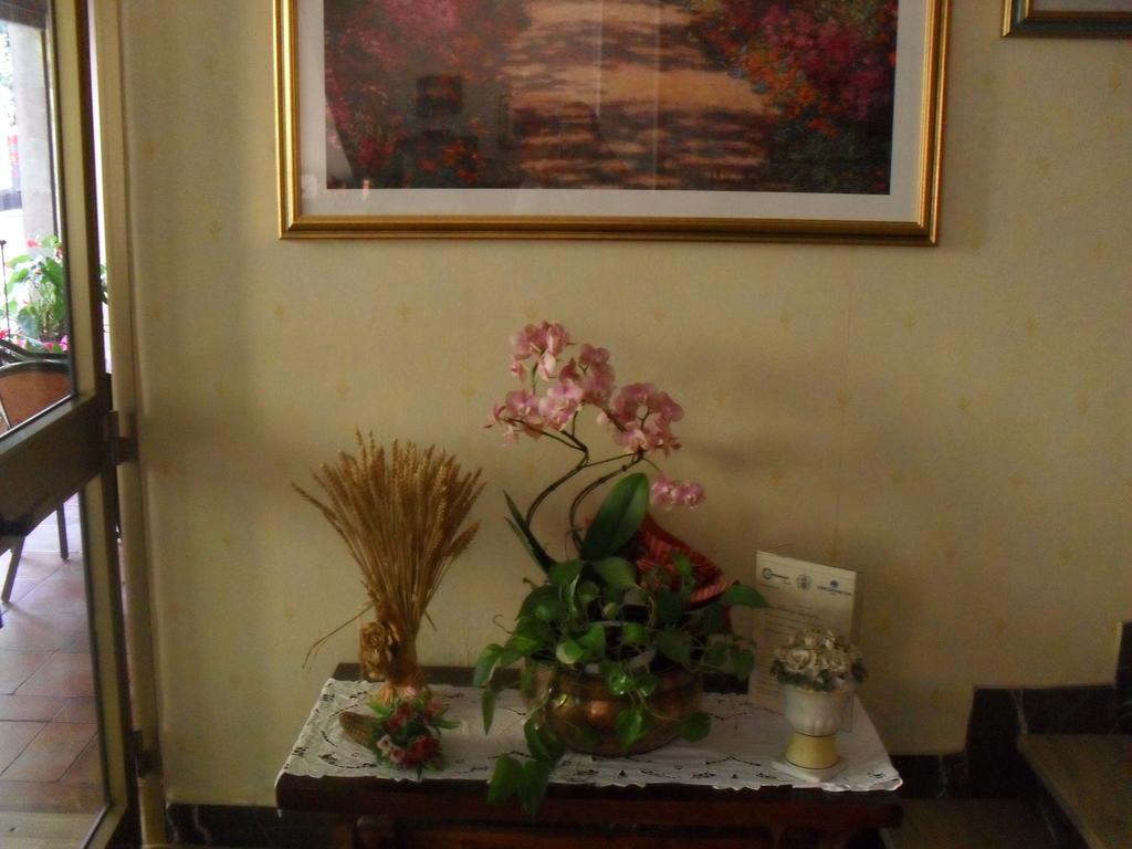 Albergo Ristorante Olimpia Abbadia San Salvator Dış mekan fotoğraf